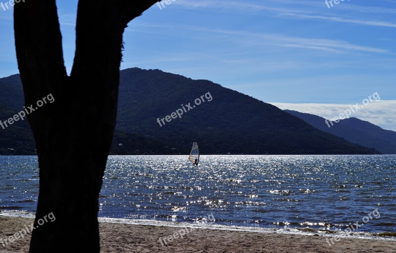 Beach Brazil Silhouette Bahia Beira Mar