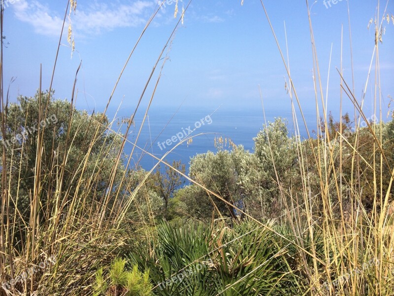 Mallorca Nature View Sea Sea View