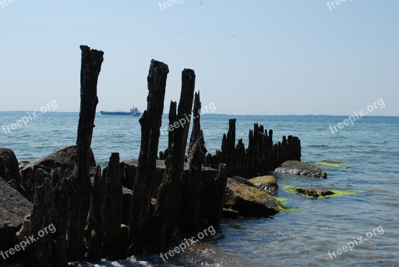 Vein Wreckage Piles Free Photos