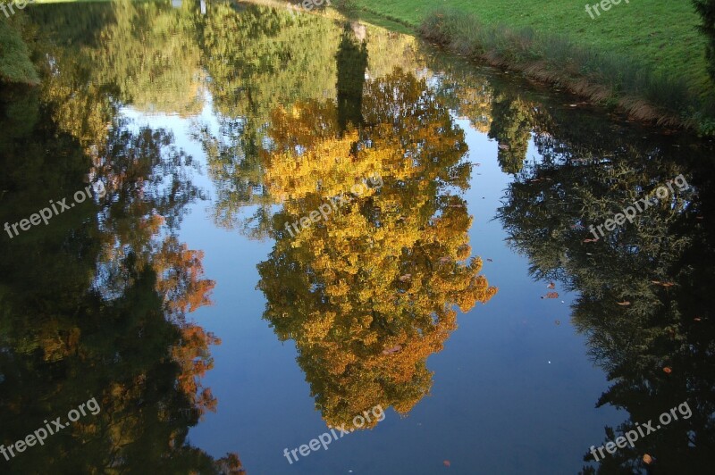 Tree Castle Park Schlossgarten Pond