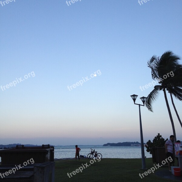 Evening Sky Coconut Beach Wind