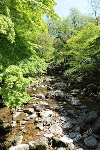 Valley Spring Green Revival Daeheungsa