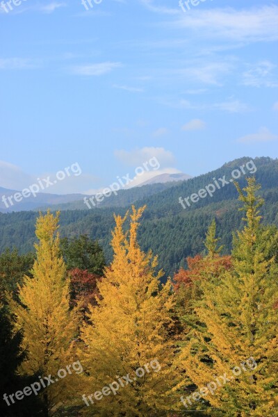 Fukushima Azuma Sports Park Azumayama Autumnal Leaves Free Photos