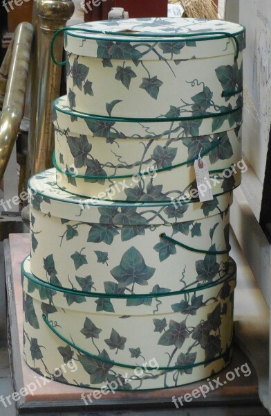 Hat Box Green Ivy Cute