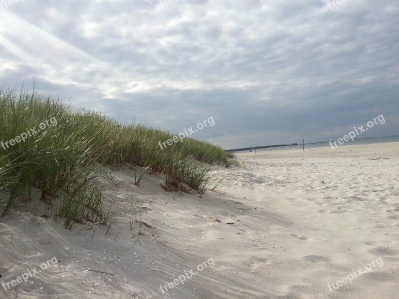 Dunes Beach Baltic Sea Free Photos