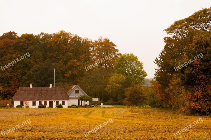 Denmark Home Afternoon Nature House