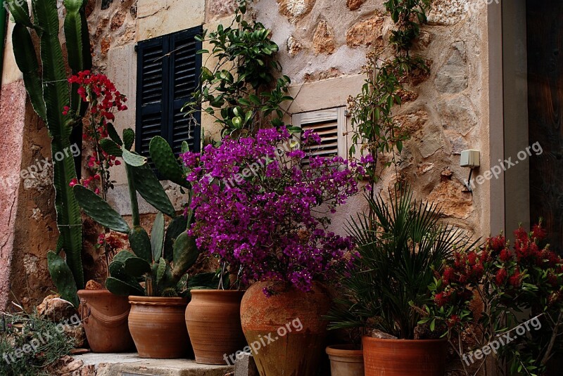 Tuscany Flowers House Planters Mediterranean