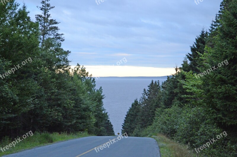 Nova Scotia Road Forest Canada