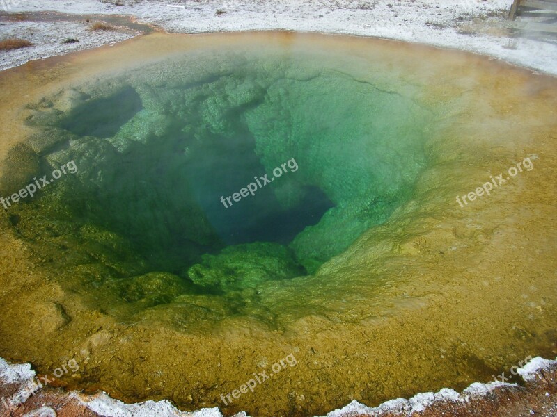 Geyser Yellowstone National Park Free Photos