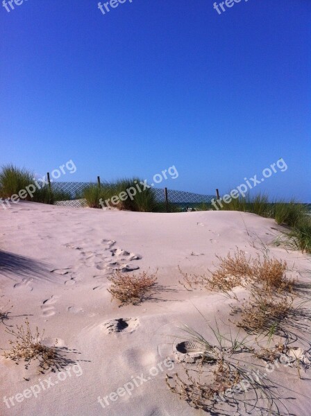 Dune Beach North Sea Blue Free Photos