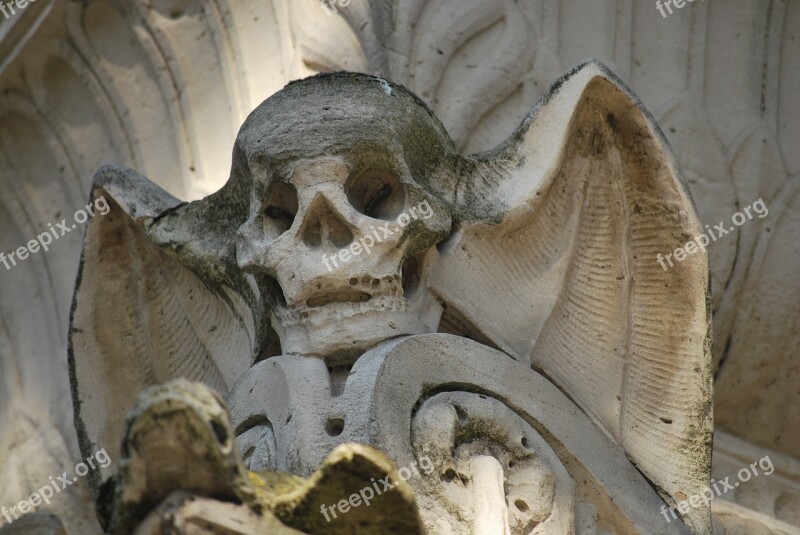 Grave Skull Bone Stone Mourning