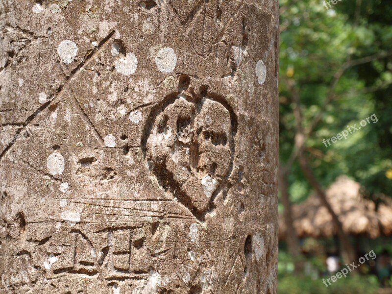 Tree Carving Love Heart Symbol