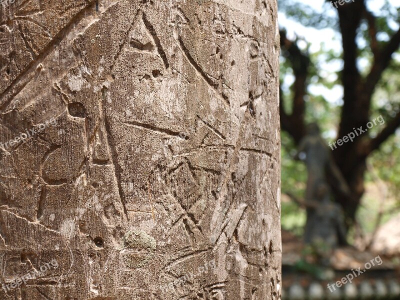 Tree Carving Symbol Wood Texture