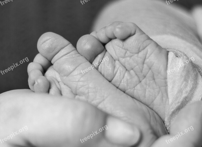 Baby Feet Hand Mother Relationship