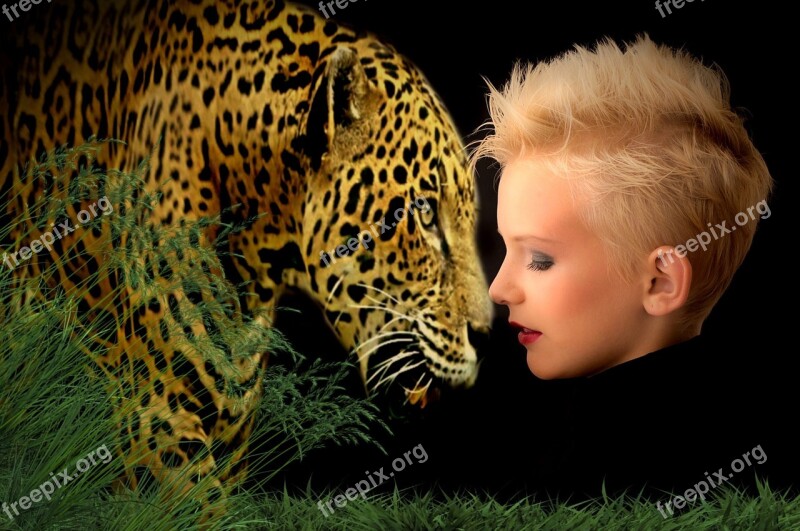 Jaguar Woman Affection Grass Romance