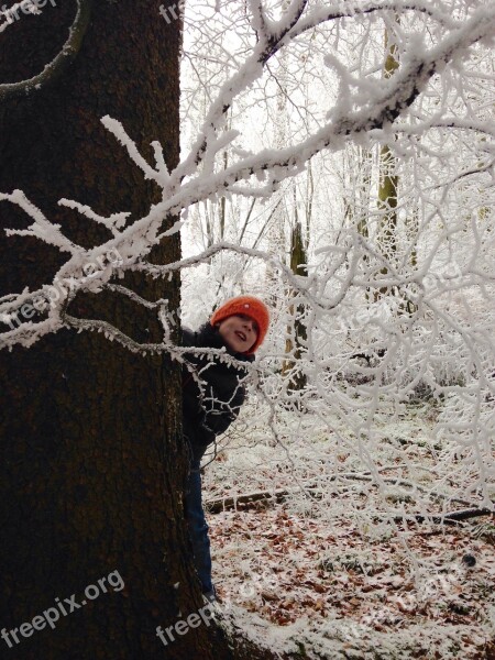 Child Winter Forest Winter Free Photos