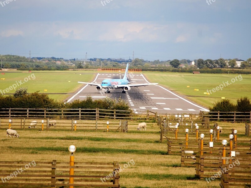 Airplane Aircraft Airliner Airport Field