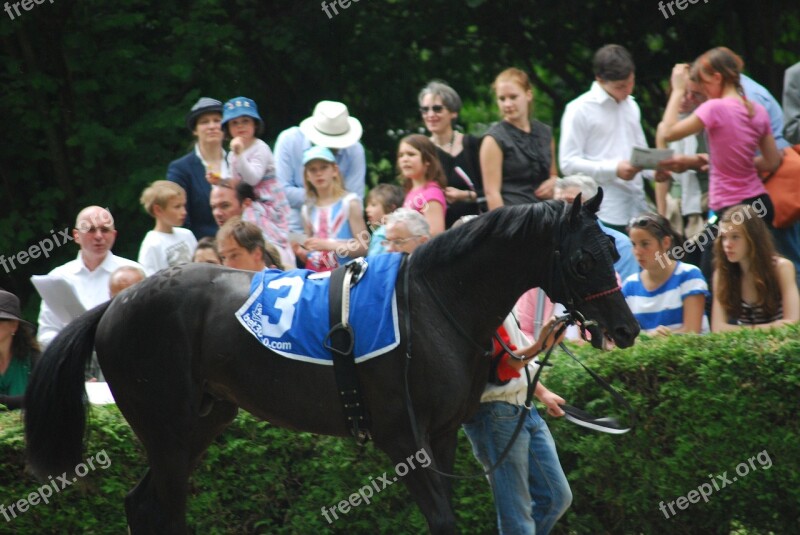 Racehorse Ring Black Rap Free Photos