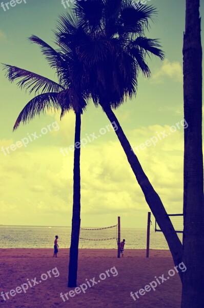 Florida Fort Lauderdale Palm Trees Beach Sunset