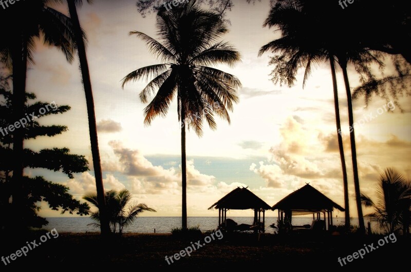 Thailand Palm Trees Sunset Cottages Clouds