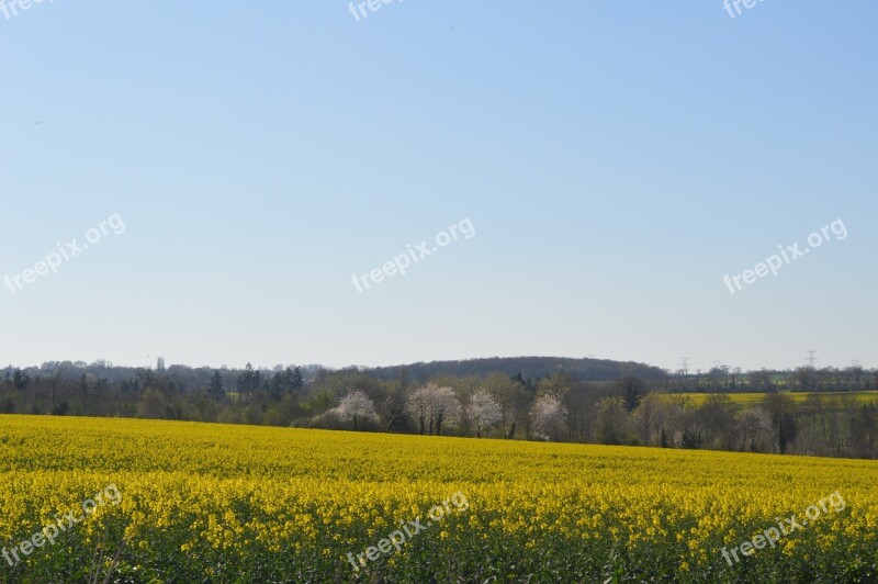 Normandy Field Green Fields Agricultural Land