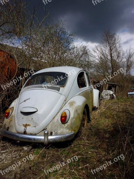 Vw Beetle Vw Auto Oldtimer Classic