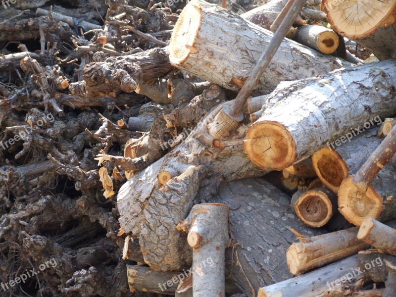 Tree Material Wood Tree Trunk Nature