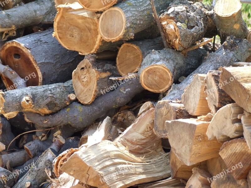 Tree Material Wood Tree Trunk Nature