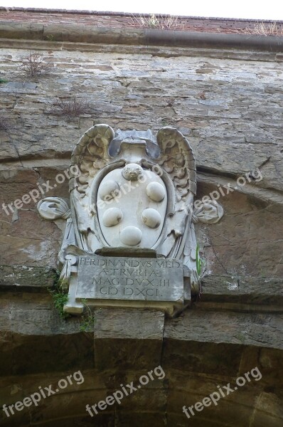 Florence Coat Of Arms Family Medici Free Photos