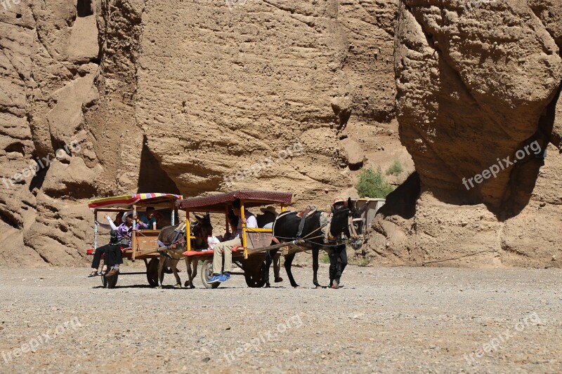 Yellow River Forest China Lanzhou Free Photos