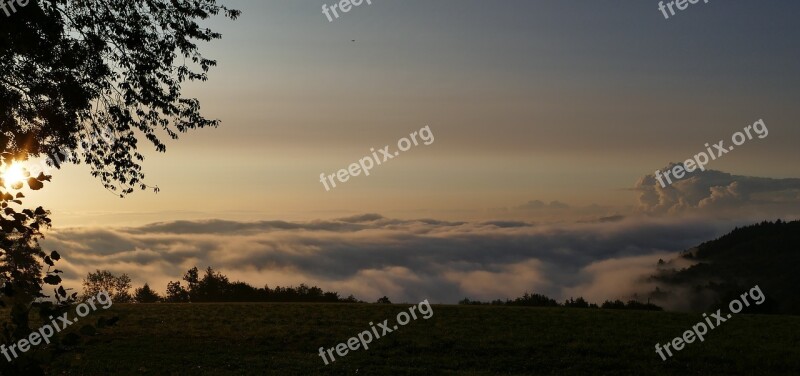 Nature Landscape Morning Fog Wide