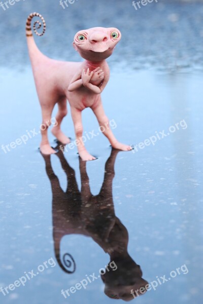 Figurine Toy Figure Reflection Small