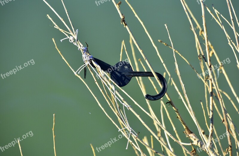 River Juncos Object Nature Water