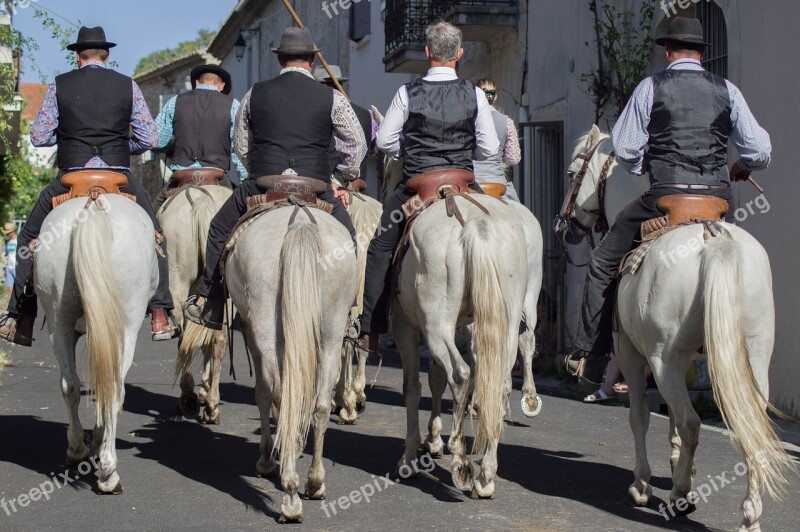 Camargue Gardians Horses Riders Saddles