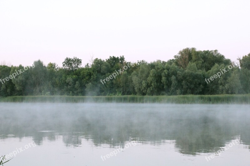 Dawn Fog Landscape Trees Sunrise