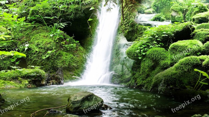 River Green Water Landscape Nature