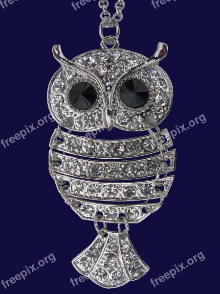 Owl Brilliant Jewel Ornament Money