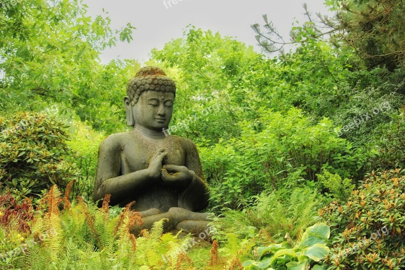 Meditation Meditate Relaxation Buddha Buddhism