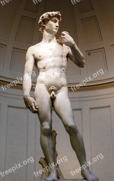 David Miguel Angel Statue Culture Florence