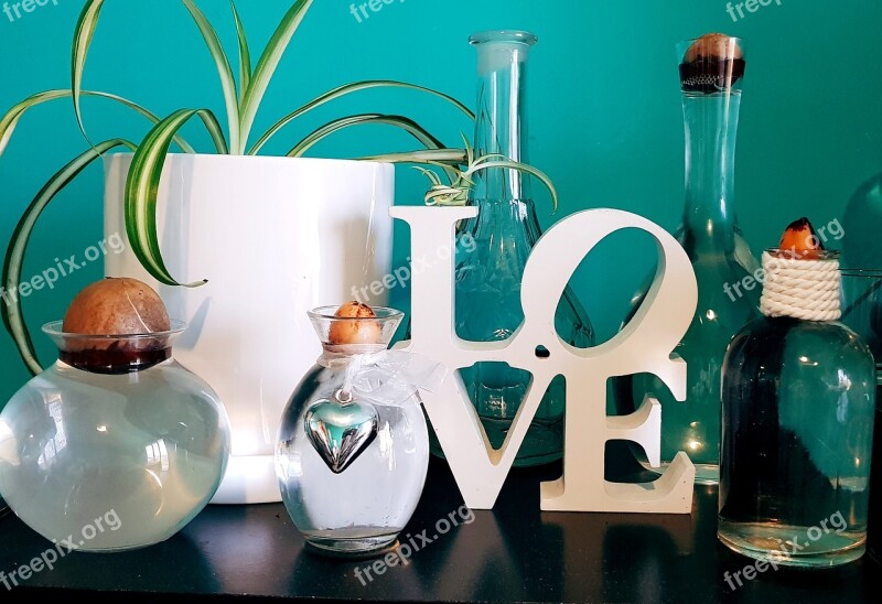 Decor Love Plant Decoration Design