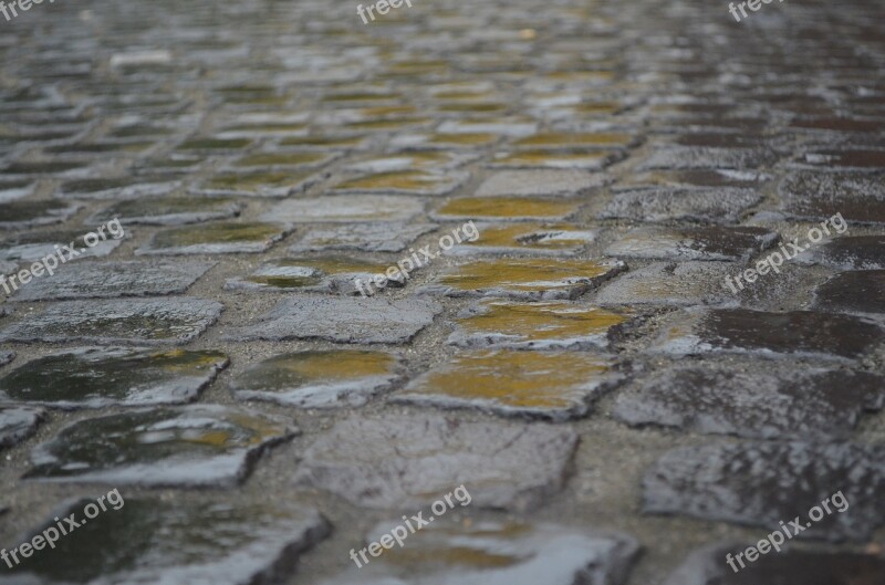 Patch Natural Stone Paving Hybrid Joint Free Photos