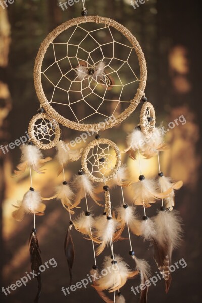 Dreamcatcher Feathers Indian Magic A Dream