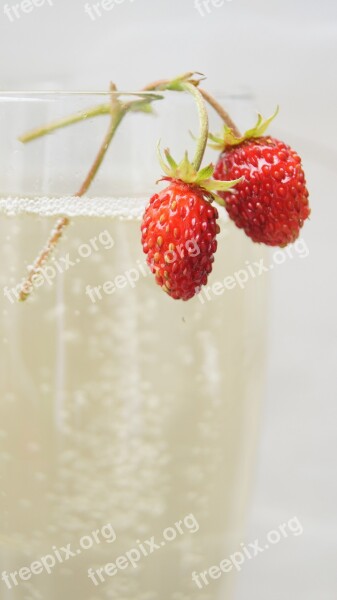 Champagne Strawberries Food Fruit Red