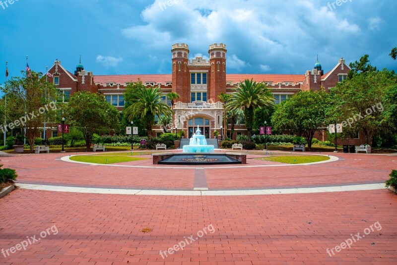 Fsu Seminoles Florida University Sun