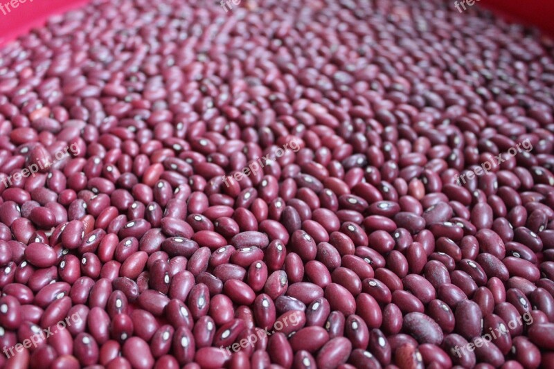 Beans Food Texture Background Red