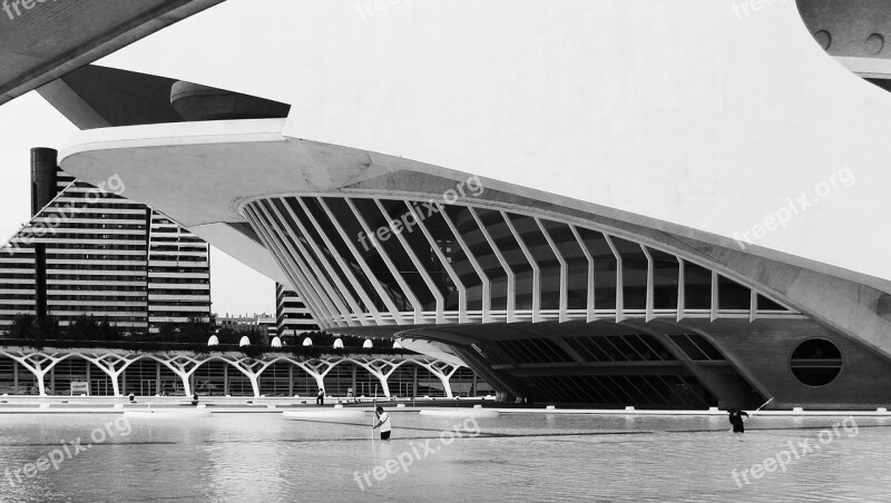 Valencia Black And White Architecture Calatrava Landscaping