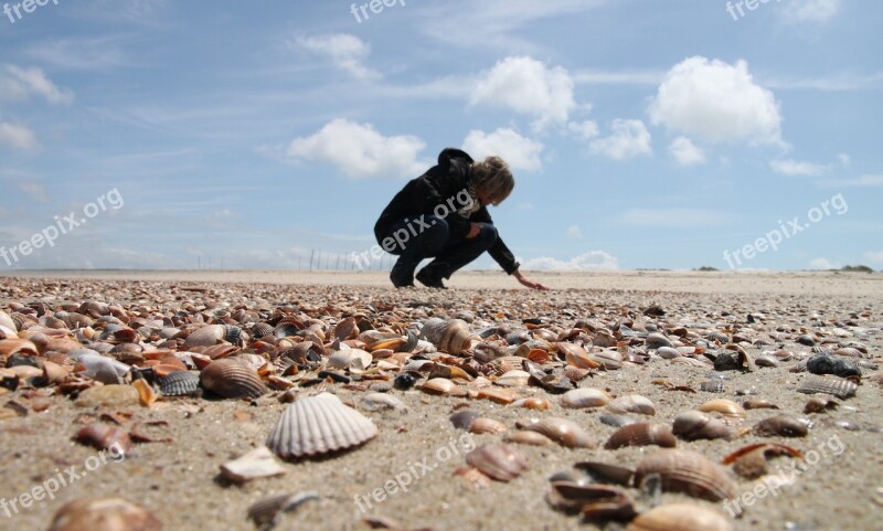 Netherlands Zealand Walcheren Vrouwenpolder Beach