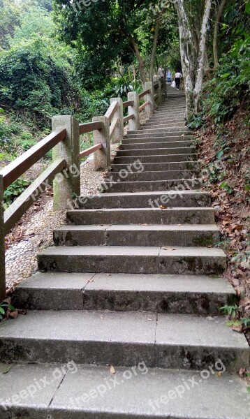 Stairs Green Plank Mountaineer Spring