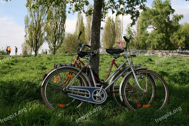 Mauerpark Berlin Meadow Bike Wheel