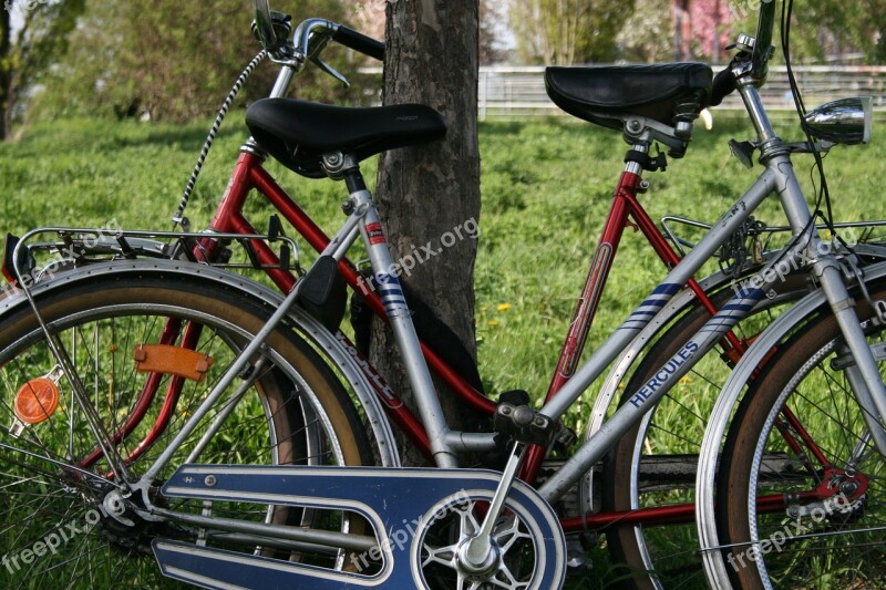 Mauerpark Berlin Meadow Bike Wheel